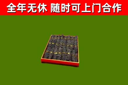 奇台县回收海参